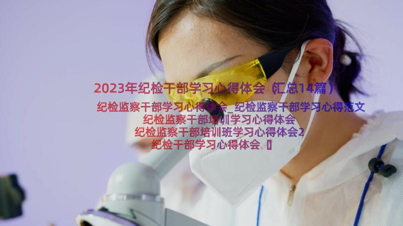 2023年纪检干部学习心得体会（汇总14篇）