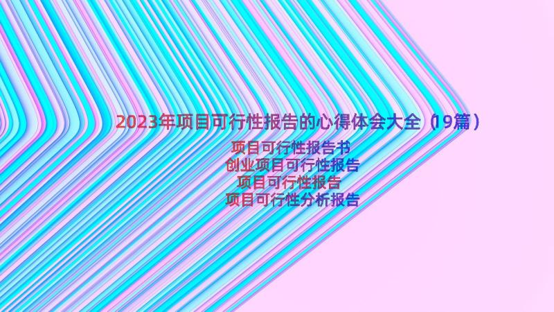 2023年项目可行性报告的心得体会大全（19篇）