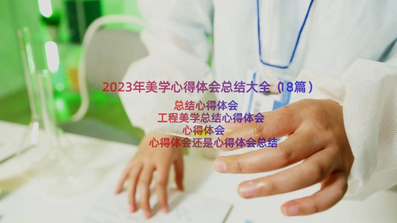 2023年美学心得体会总结大全（18篇）