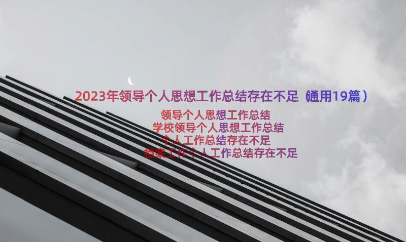 2023年领导个人思想工作总结存在不足（通用19篇）