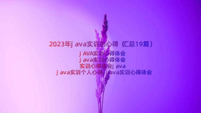 2023年java实训的心得（汇总19篇）