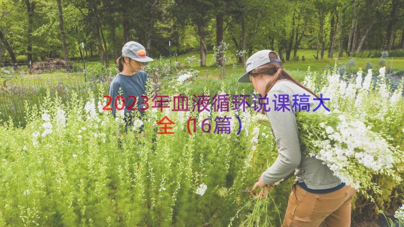 2023年血液循环说课稿大全（16篇）