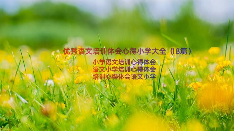 优秀语文培训体会心得小学大全（18篇）