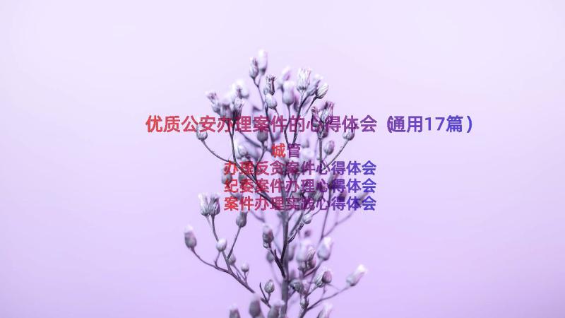 优质公安办理案件的心得体会（通用17篇）