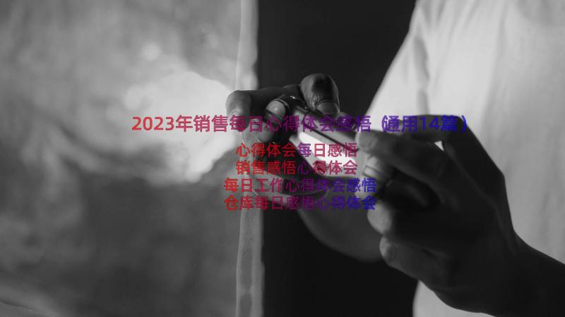 2023年销售每日心得体会感悟（通用14篇）