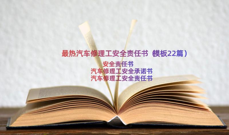 最热汽车修理工安全责任书（模板22篇）