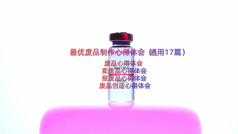 最优废品制作心得体会（通用17篇）