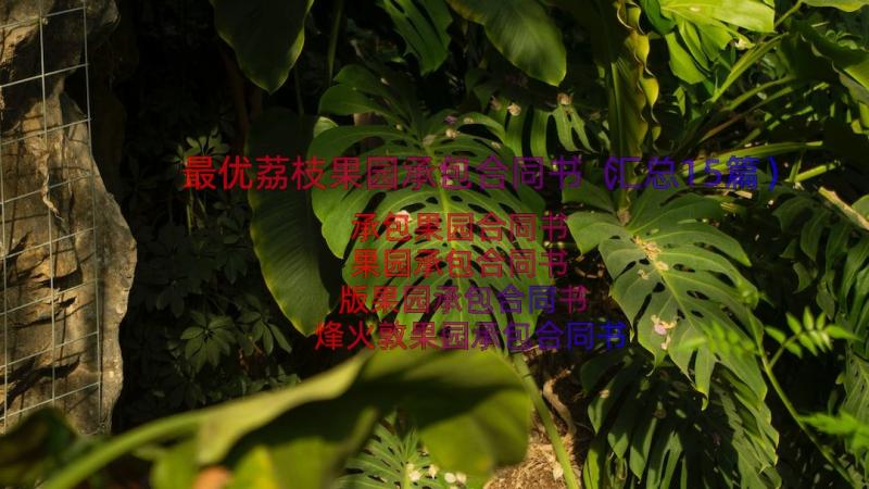 最优荔枝果园承包合同书（汇总15篇）