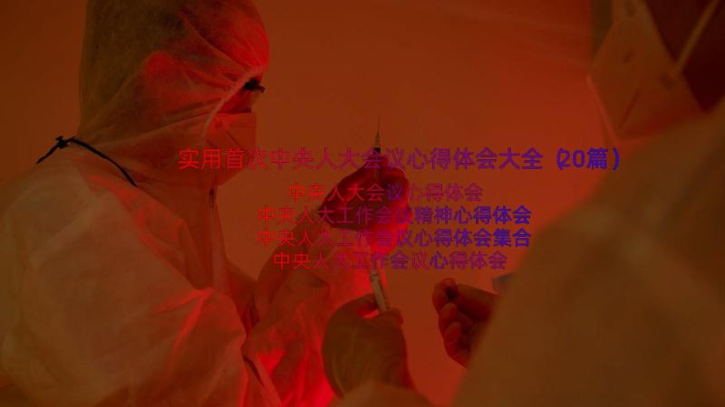 实用首次中央人大会议心得体会大全（20篇）