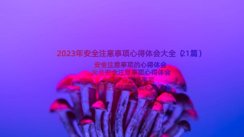 2023年安全注意事项心得体会大全（21篇）