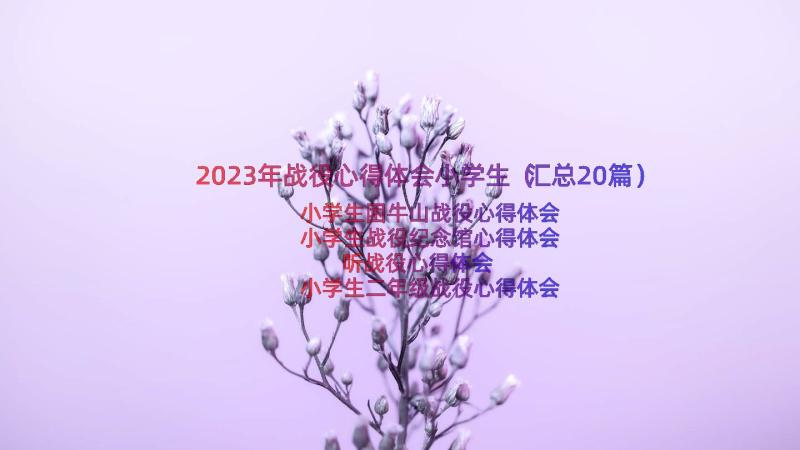 2023年战役心得体会小学生（汇总20篇）