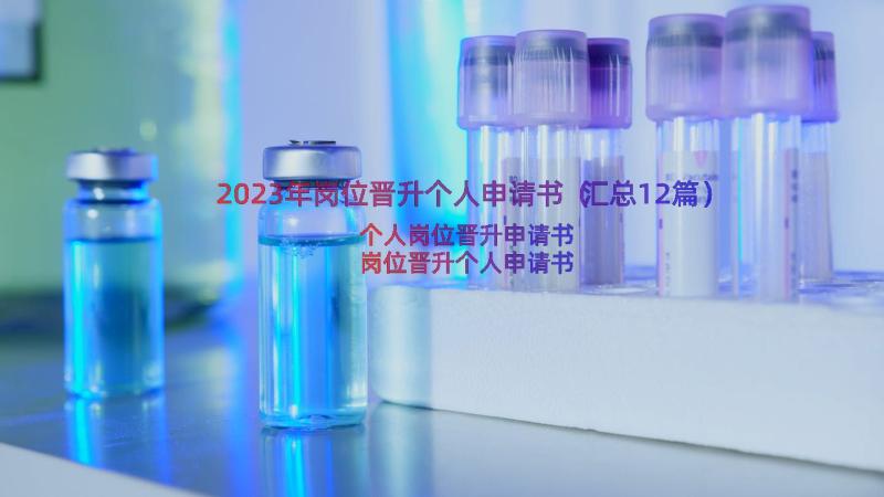 2023年岗位晋升个人申请书（汇总12篇）