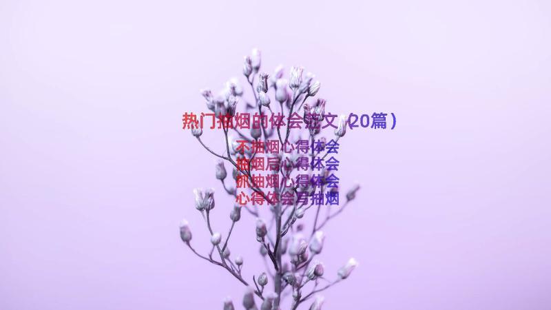 热门抽烟的体会范文（20篇）