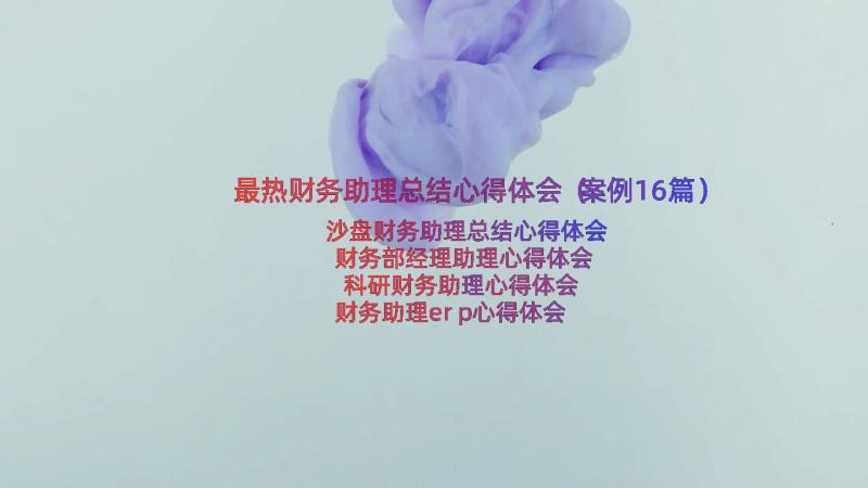 最热财务助理总结心得体会（案例16篇）