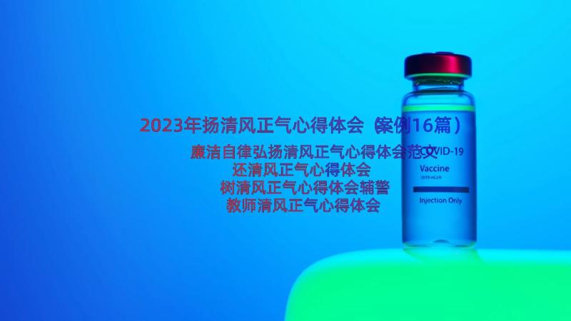 2023年扬清风正气心得体会（案例16篇）