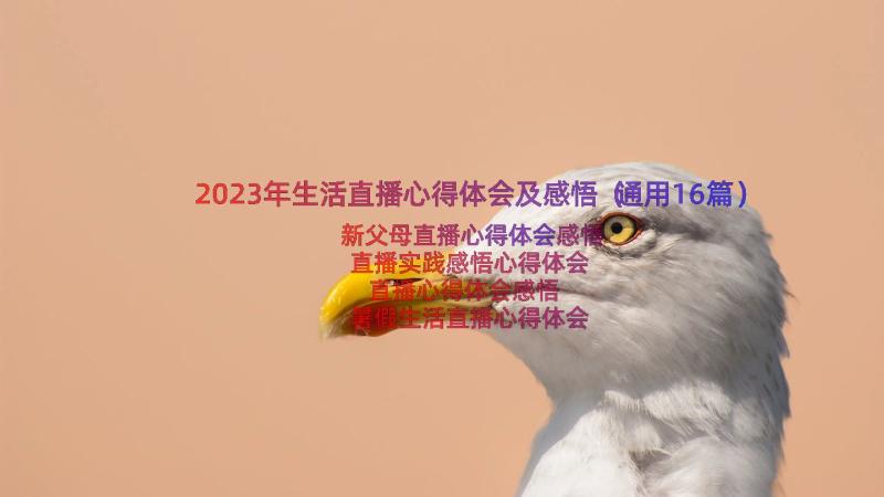 2023年生活直播心得体会及感悟（通用16篇）