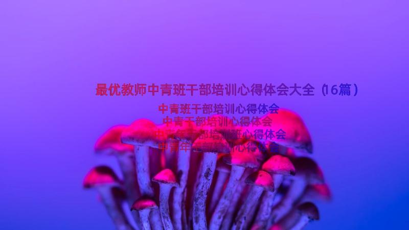 最优教师中青班干部培训心得体会大全（16篇）