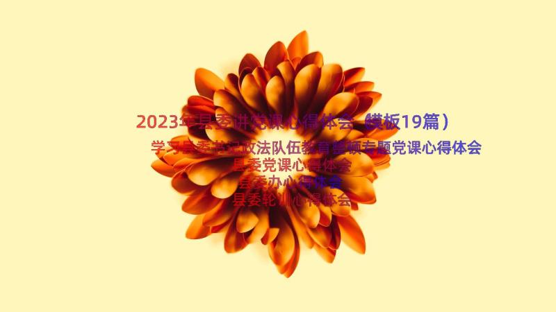 2023年县委讲党课心得体会（模板19篇）