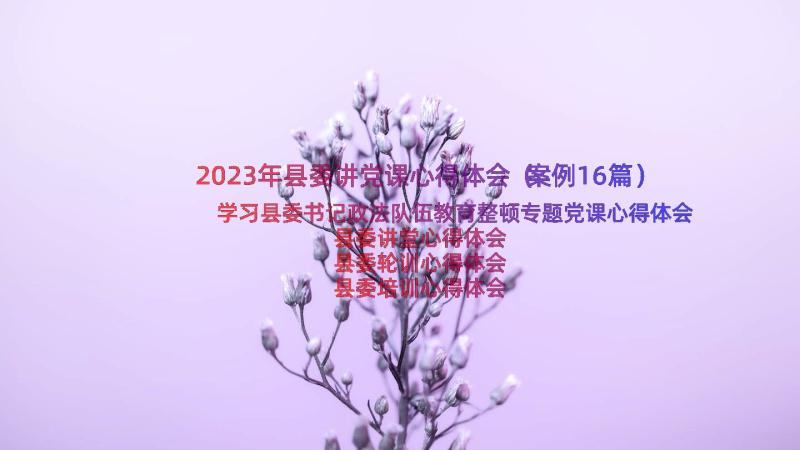 2023年县委讲党课心得体会（案例16篇）