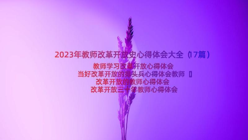 2023年教师改革开放史心得体会大全（17篇）