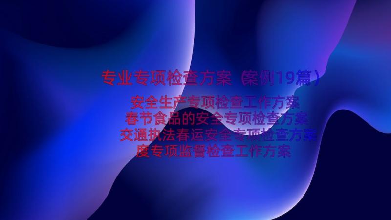 专业专项检查方案（案例19篇）