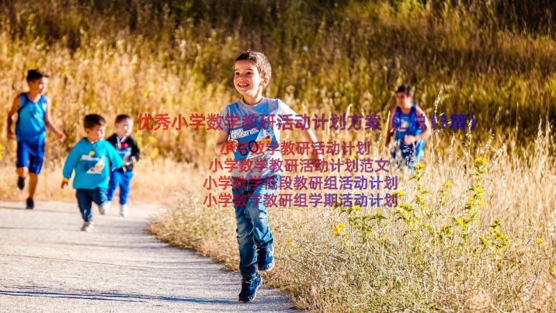 优秀小学数学教研活动计划方案（汇总15篇）