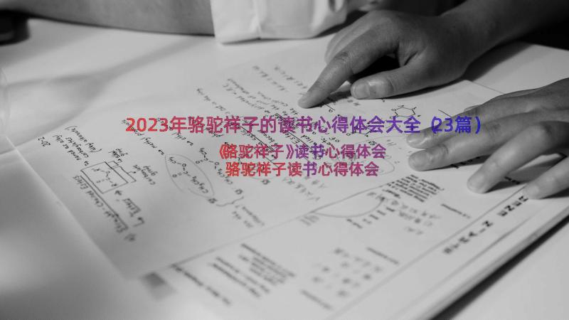 2023年骆驼祥子的读书心得体会大全（23篇）