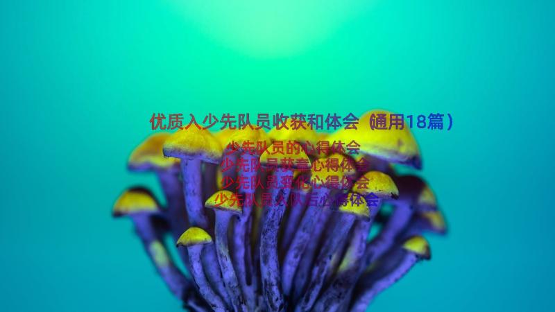 优质入少先队员收获和体会（通用18篇）