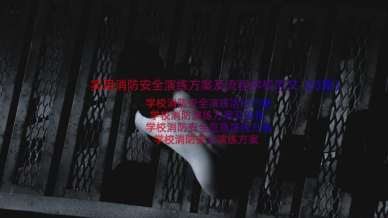 实用消防安全演练方案及流程学校范文（20篇）