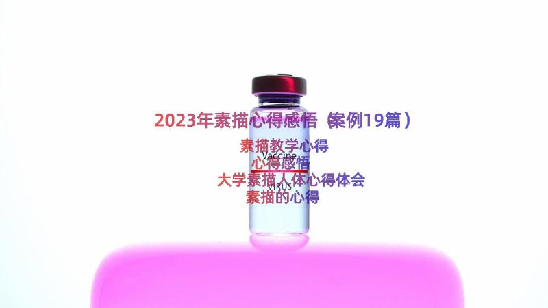 2023年素描心得感悟（案例19篇）