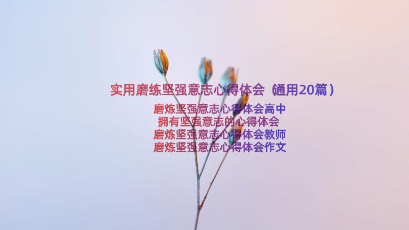 实用磨练坚强意志心得体会（通用20篇）