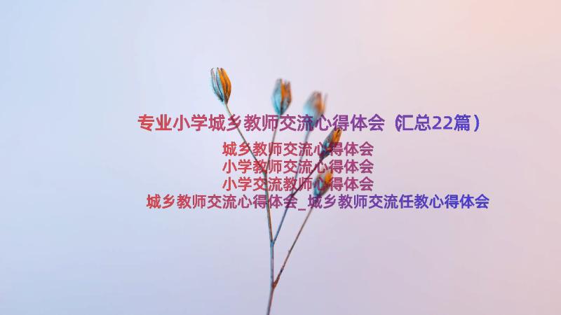 专业小学城乡教师交流心得体会（汇总22篇）