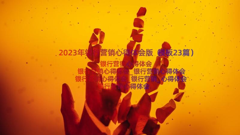 2023年银行营销心得体会版（模板23篇）