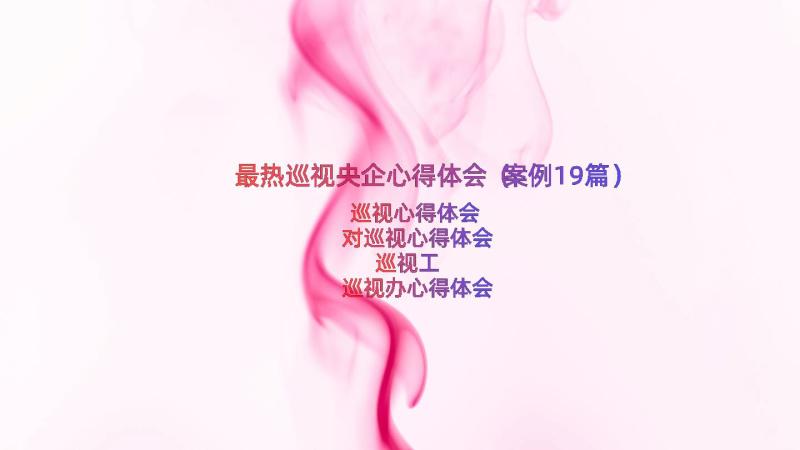 最热巡视央企心得体会（案例19篇）