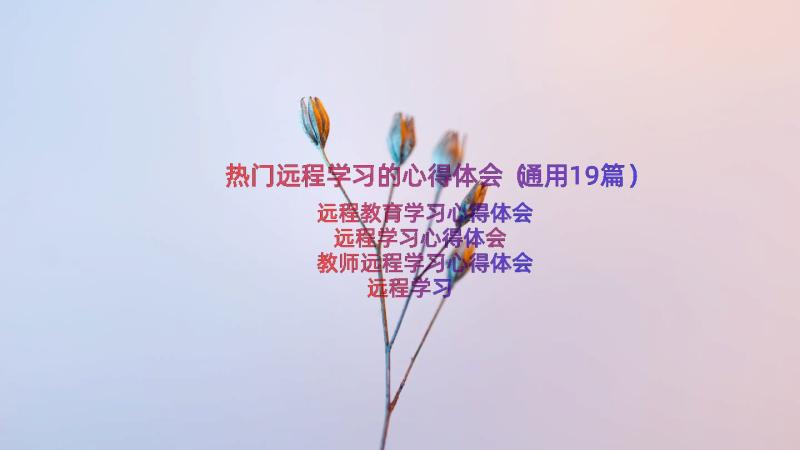 热门远程学习的心得体会（通用19篇）