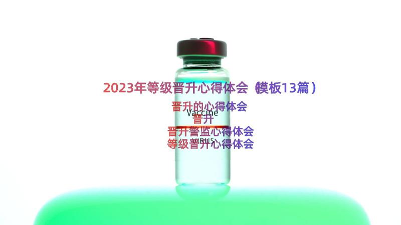 2023年等级晋升心得体会（模板13篇）