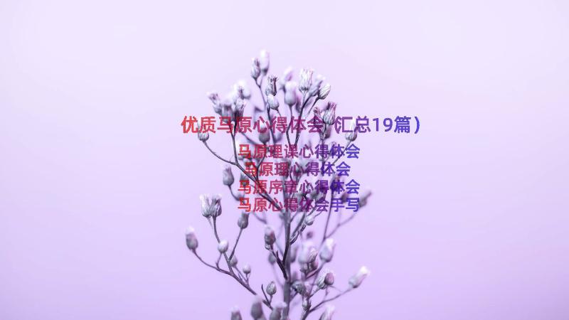 优质马原心得体会（汇总19篇）