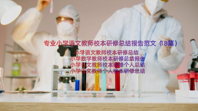 专业小学语文教师校本研修总结报告范文（18篇）