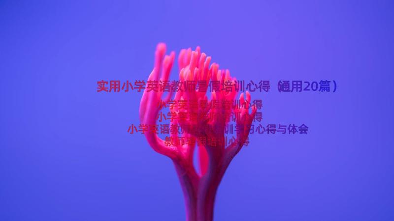 实用小学英语教师暑假培训心得（通用20篇）