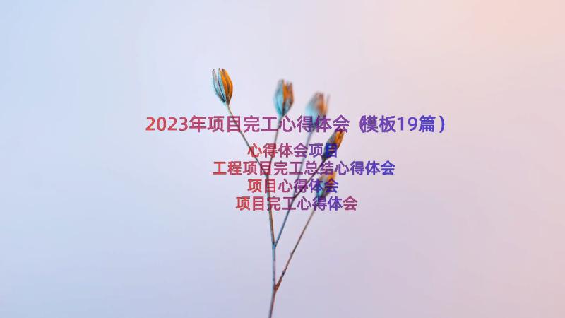 2023年项目完工心得体会（模板19篇）