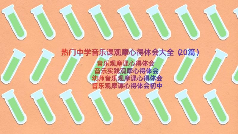 热门中学音乐课观摩心得体会大全（20篇）