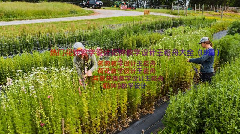 热门花钟教学设计花钟教学设计王崧舟大全（19篇）