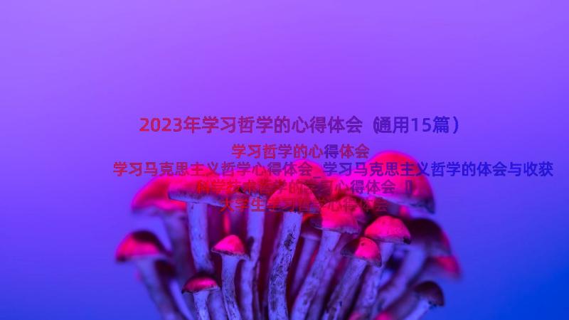 2023年学习哲学的心得体会（通用15篇）