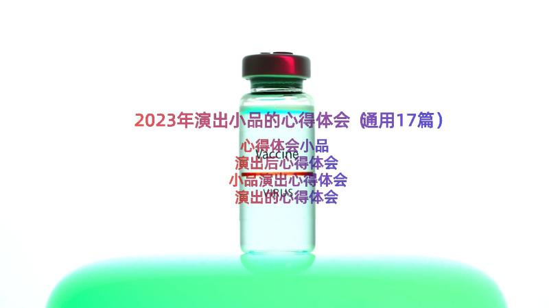 2023年演出小品的心得体会（通用17篇）