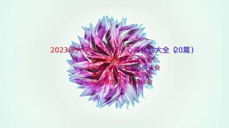 2023年大学生学习打卡心得体会大全（20篇）