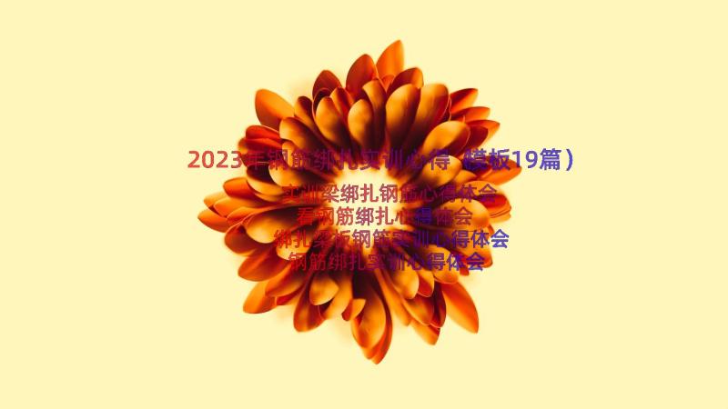 2023年钢筋绑扎实训心得（模板19篇）