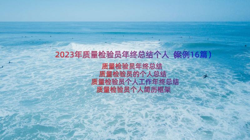 2023年质量检验员年终总结个人（案例16篇）