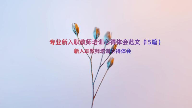 专业新入职教师培训心得体会范文（15篇）