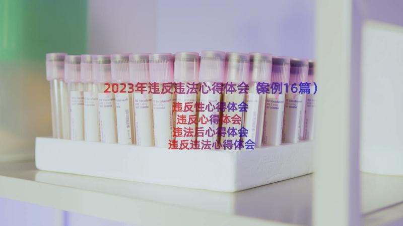 2023年违反违法心得体会（案例16篇）