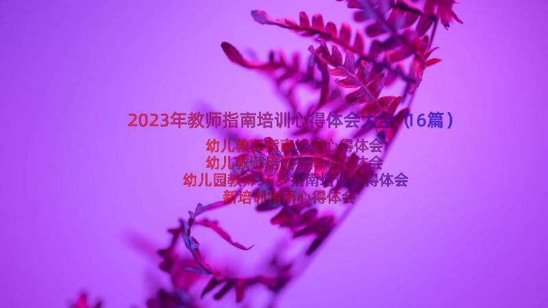 2023年教师指南培训心得体会大全（16篇）